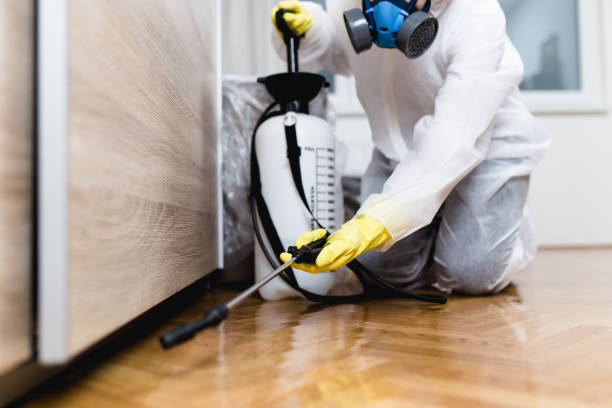 Best Termite Control Services  in Vandalia, OH