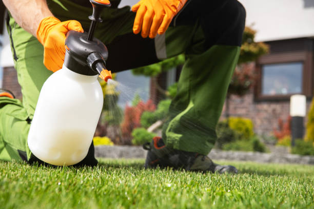 Best Local Pest Control Services  in Vandalia, OH