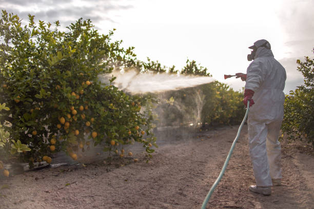 Best Exterminator Services  in Vandalia, OH