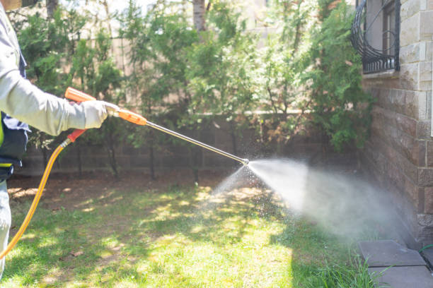 Best Pest Inspection Near Me  in Vandalia, OH