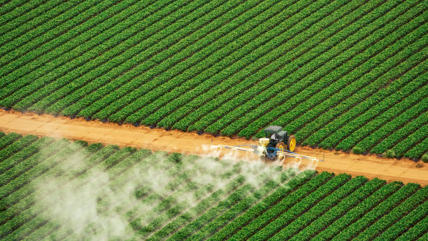 Best Pest Control for Businesses  in Vandalia, OH