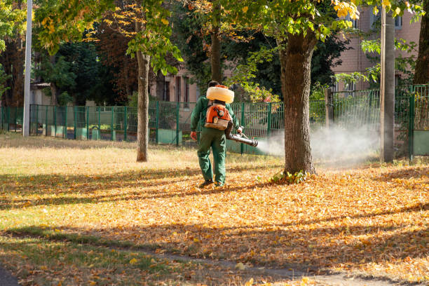 Best Best Pest Control Companies  in Vandalia, OH