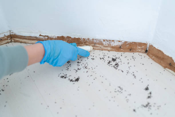 Best Emergency Pest Control  in Vandalia, OH
