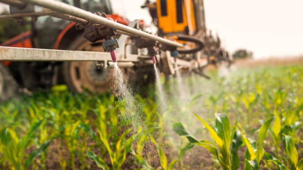 Best Pest Removal Services  in Vandalia, OH